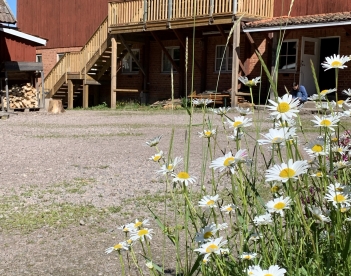 rivstart_framsida_bigbarn